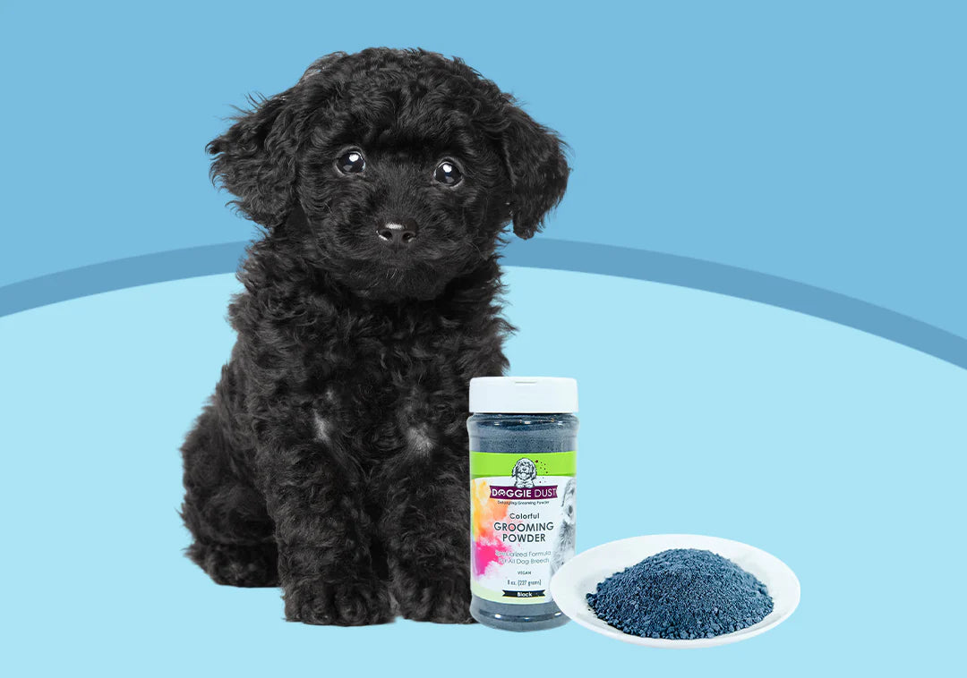 Black Doggie Dust Grooming Powder